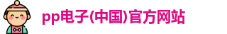pp电子